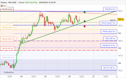 SOLANA - SOL/USD - 1 Std.