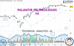 PALANTIR TECHNOLOGIES - 1 uur