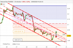 NATURAL GAS - 30 min.