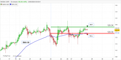 NVIDIA CORP. - 30 min.