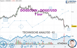 DOGECOIN - DOGE/USD - 1 uur