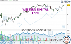 WESTERN DIGITAL - 1 uur