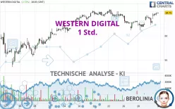 WESTERN DIGITAL - 1 Std.