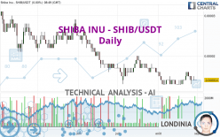 SHIBA INU - SHIB/USDT - Daily