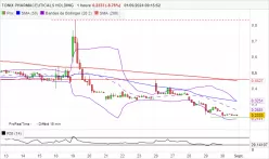 TONIX PHARMACEUTICALS HOLDING - 1 Std.