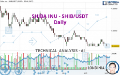 SHIBA INU - SHIB/USDT - Dagelijks