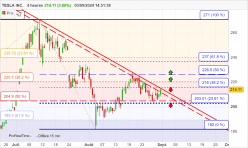 TESLA INC. - 4H