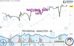 NATURAL GAS - 1 Std.