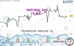 NATURAL GAS - 1 Std.