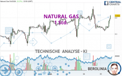 NATURAL GAS - 1 Std.