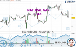 NATURAL GAS - 1 Std.