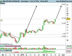 BIOLIFE SOLUTIONS INC. - Giornaliero