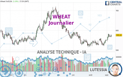 WHEAT - Journalier