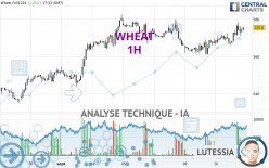 WHEAT - 1H