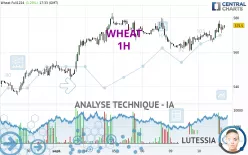 WHEAT - 1H