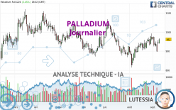 PALLADIUM - Journalier