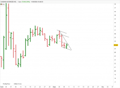 CASSAVA SCIENCES INC. - Täglich