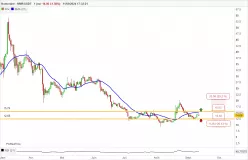 NUMERAIRE - NMR/USDT - Giornaliero