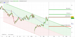 MONSTER BEVERAGE - 4 Std.