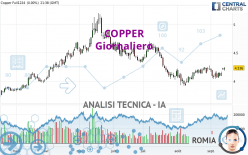 COPPER - Diario