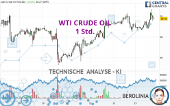 WTI CRUDE OIL - 1 Std.