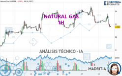 NATURAL GAS - 1 uur