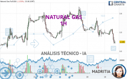 NATURAL GAS - 1 uur