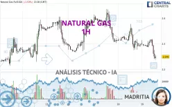 NATURAL GAS - 1 uur