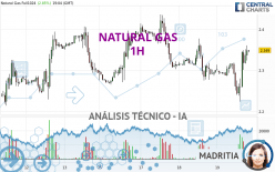 NATURAL GAS - 1 uur