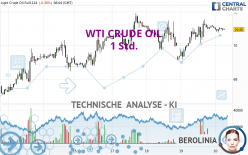 WTI CRUDE OIL - 1 Std.