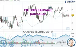 CIE BOIS SAUVAGE - Journalier