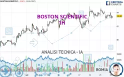 BOSTON SCIENTIFIC - 1H