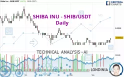 SHIBA INU - SHIB/USDT - Daily