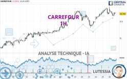 CARREFOUR - 1 Std.