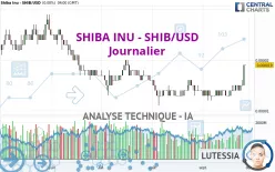 SHIBA INU - SHIB/USD - Dagelijks