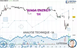 WAGA ENERGY - 1H