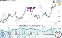 WHEAT - 1H