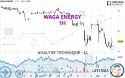 WAGA ENERGY - 1H