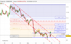 DOGECOIN - DOGE/USD - 1 Std.