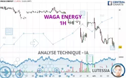 WAGA ENERGY - 1H