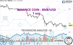 BINANCE COIN - BNB/USD - 1 uur