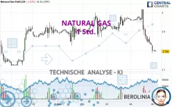 NATURAL GAS - 1 Std.