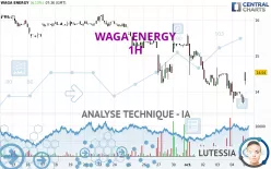 WAGA ENERGY - 1H