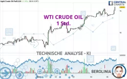 WTI CRUDE OIL - 1 Std.