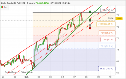 WTI CRUDE OIL - 1H