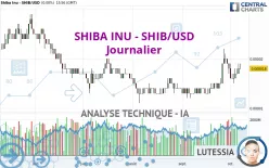 SHIBA INU - SHIB/USD - Dagelijks