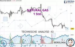 NATURAL GAS - 1 Std.