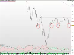 CAC SMALL - Dagelijks