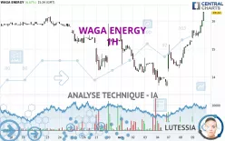 WAGA ENERGY - 1H