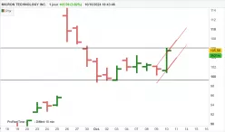 MICRON TECHNOLOGY INC. - Journalier